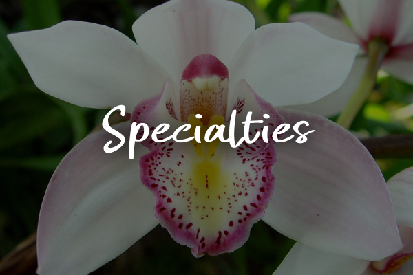 spec3