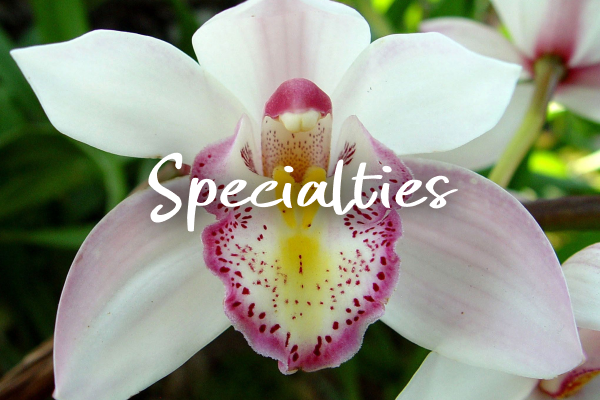 spec4