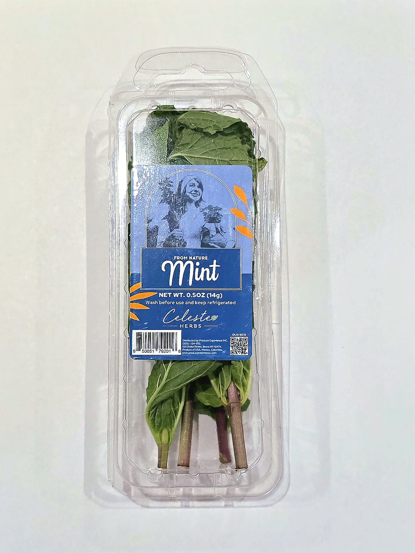 5377380b-558a-4ea1-98fd-b2f9d9301508